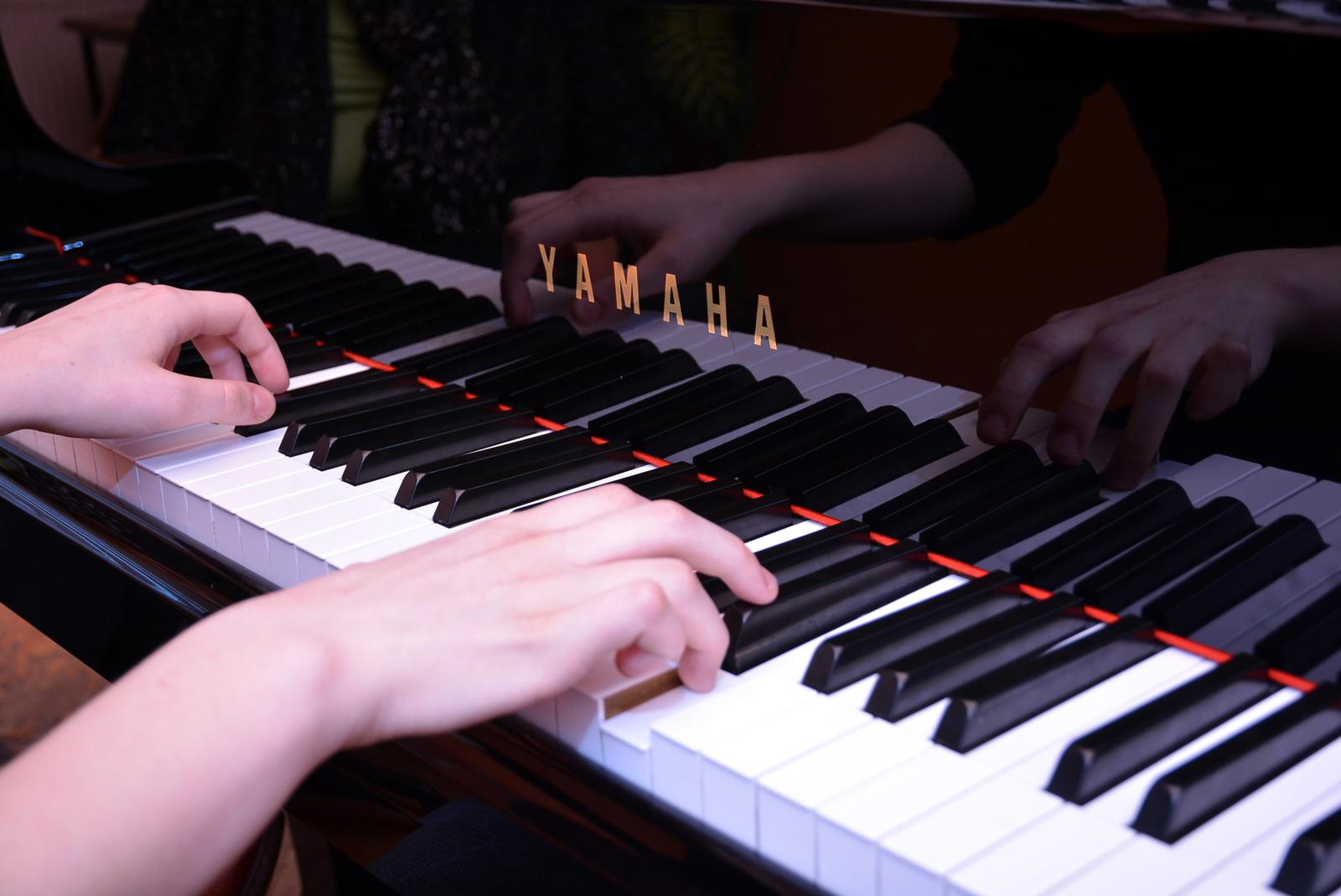 12.03.2015., Bjelovar - Ucenje sviranja klavira. 
Photo: Damir Spehar/PIXSELL