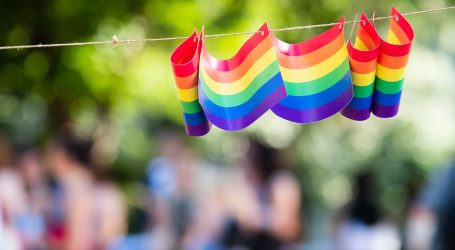 Potpisan povijesni zakon: Čile legalizirao istospolne brakove