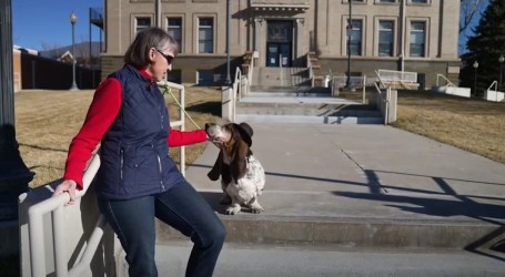 Colorado: U Littletonu izabrali psa za počasnog gradonačelnika