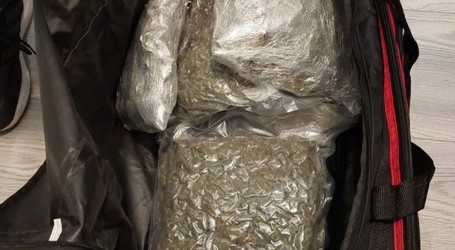 Riječka policija otkrila laboratorij, zaplijenila marihuanu i kokain: Uhićeno više osoba