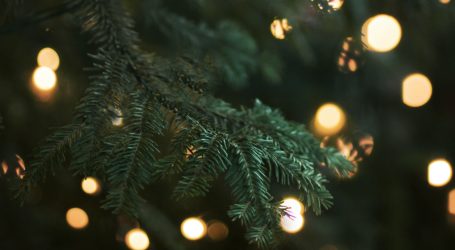 Zbog svečanosti paljenja lampica na božićnoj jelki u New Yorku će obustaviti promet