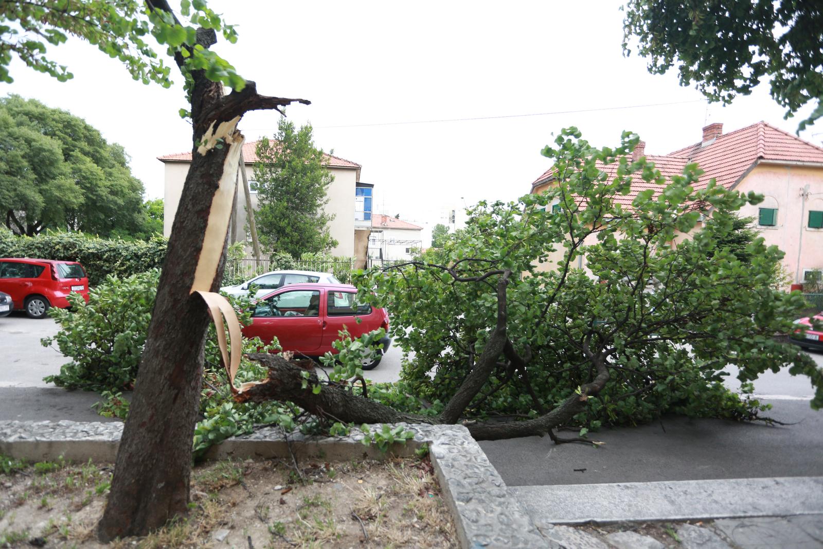 16.06.2016., Split - Jako jugo srusilo dva stabla u Dubrovackoj ulici. rPhoto: Miranda Cikotic/PIXSELL
