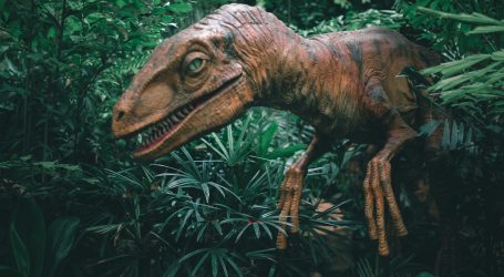 Tragovi ranog dinosaura pronađeni na plaži u Walesu