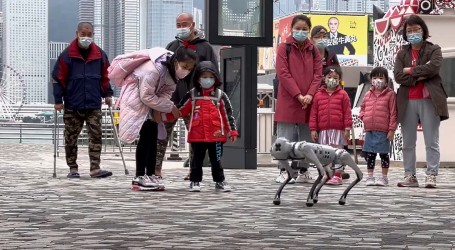 Šangaj: Vlasnici pasa-robota izveli svoje ljubimce u šetnju gradskim ulicama