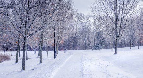U Središnoj Kanadi u kratkom roku pala rekordna količina snijega