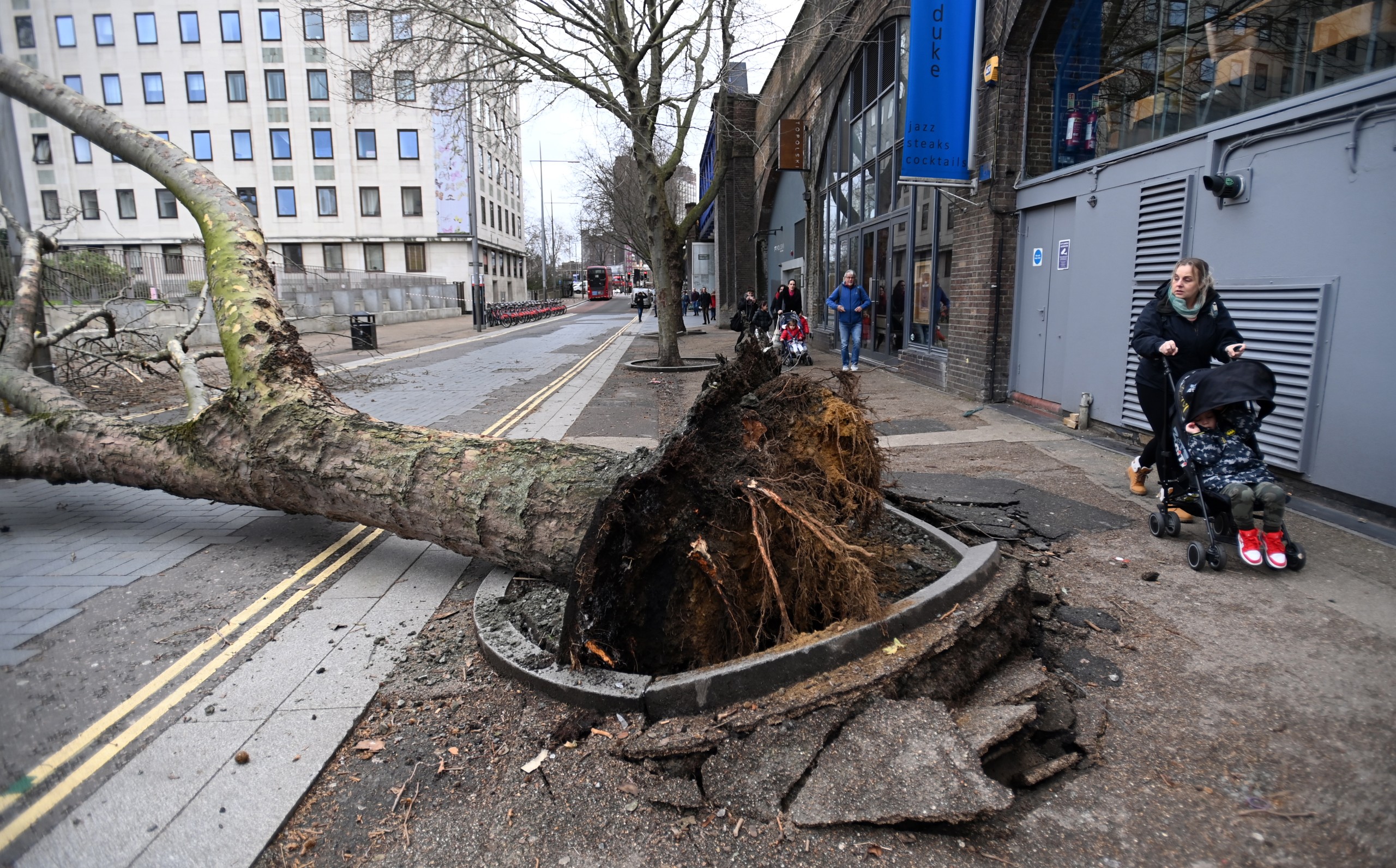 epa09769043 A mother pushes her child past a fallen tree brought down by strong winds during Storm Eunice in London, Britain, 18 February 2022. The UK's Met Office has issued a red warning 'danger to life' for Storm Eunice which is causing major disruption across most parts of the UK.  EPA/ANDY RAIN
