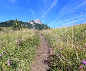 04.09.2020., Ogulin - Planinarska staza podno Kleka.rPhoto: Kristina Stedul Fabac/PIXSELL