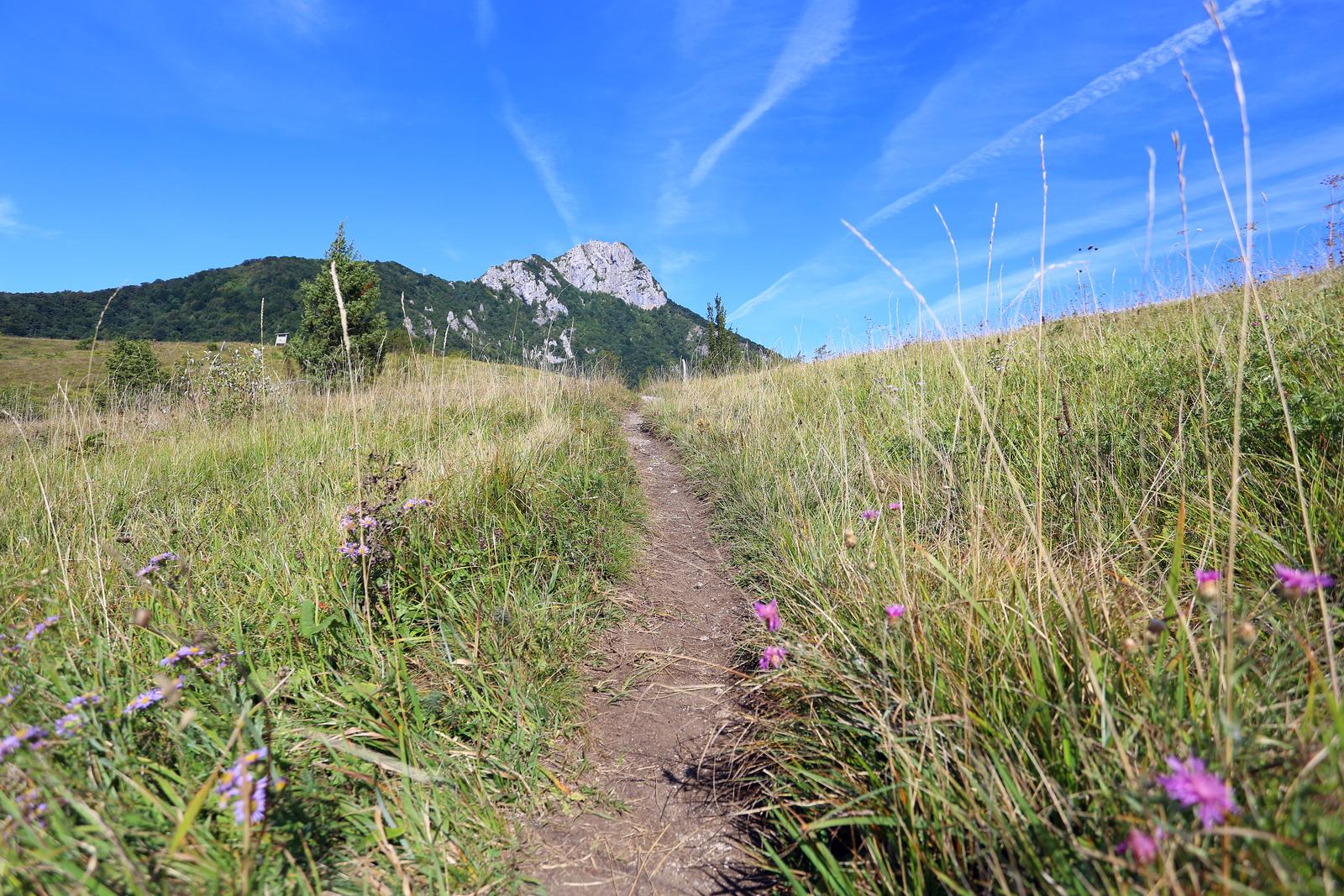 04.09.2020., Ogulin - Planinarska staza podno Kleka.rPhoto: Kristina Stedul Fabac/PIXSELL