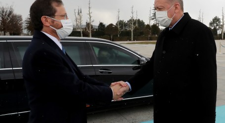 Herzog i Erdogan o planu transporta izraelskog plina u Europu