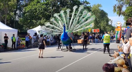 Šareni Moomba festival na ulicama Melbournea okupio tisuće posjetitelja