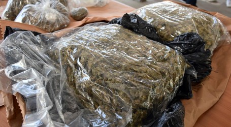 Policija privela petoricu, kod njih pronašla ‘hrpu’ raznih droga – od marihuane do halucinogenih gljiva