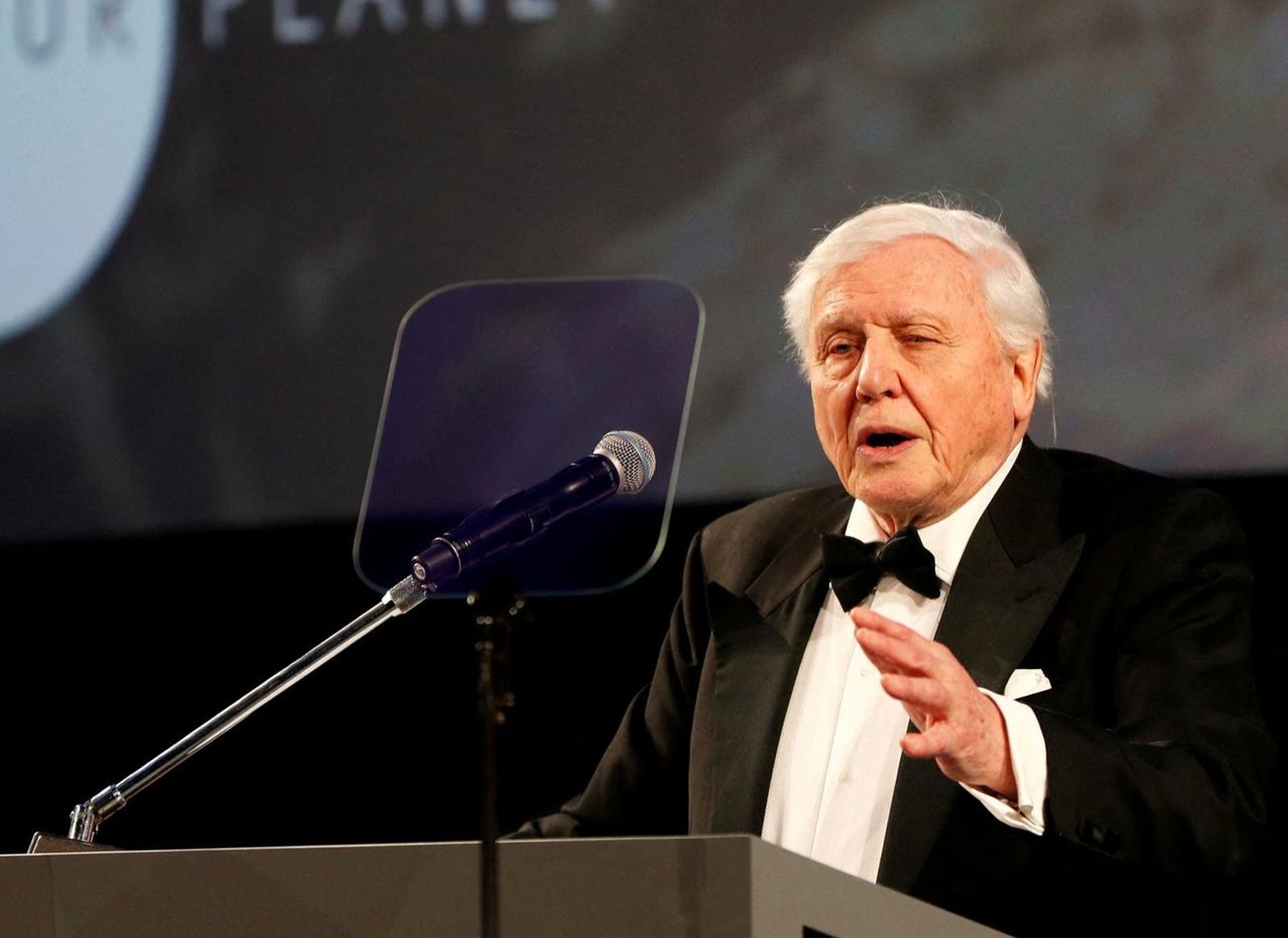 FILE PHOTO: British naturalist David Attenborough gives a speech during the global premiere of Netflix's "Our Planet" at the Natural History Museum in London, Britain April 4, 2019. REUTERS/John Sibley/Pool/File Photo Photo: John Sibley/REUTERS