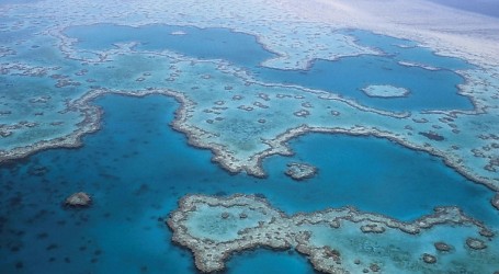 ‘Značajni toplinski stres’: Zatopljenje oceana prijeti češćim izbjeljivanjem Velikog koraljnog grebena