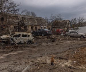 epa09874773 A cat sits in front of the destroyed houses and cars in the residential area of Bucha, the town which was retaken by the Ukrainian army, northwest of Kyiv, Ukraine, 06 April 2022. Hundreds of tortured and killed civilians have been found in Bucha and other parts of the Kyiv region after the Russian army retreated from those areas. Russian troops entered Ukraine on 24 February resulting in fighting and destruction in the country, and triggering a series of severe economic sanctions on Russia by Western countries.  EPA/ROMAN PILIPEY