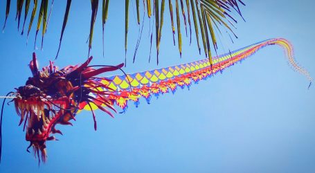 Berck-sur-Mer: Pogledajte atraktivni Festival letećih zmajeva na pješčanoj plaži