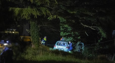 Teška prometna nesreća u Puli: Auto sletio s ceste i udario u stablo, jedna osoba poginula