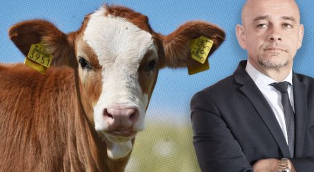 Šefa Uprave za stočarstvo sumnjiče da namješta poslove s ušnim markicama za životinje