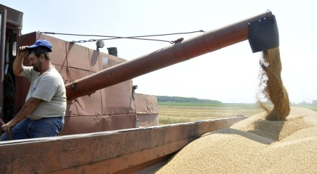 Za otežan izvoz žita Putin okrivio Ukrajinu