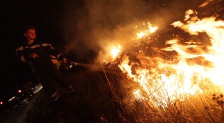 Španjolska se zbog toplinskog vala bori sa šumskim požarima