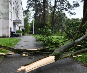 13.05.2019., Zagreb -  Snazan vjetar srusio je stabla u zagrebackom naselju Ravnice.rPhoto: Sandra Simunovic/PIXSELL
