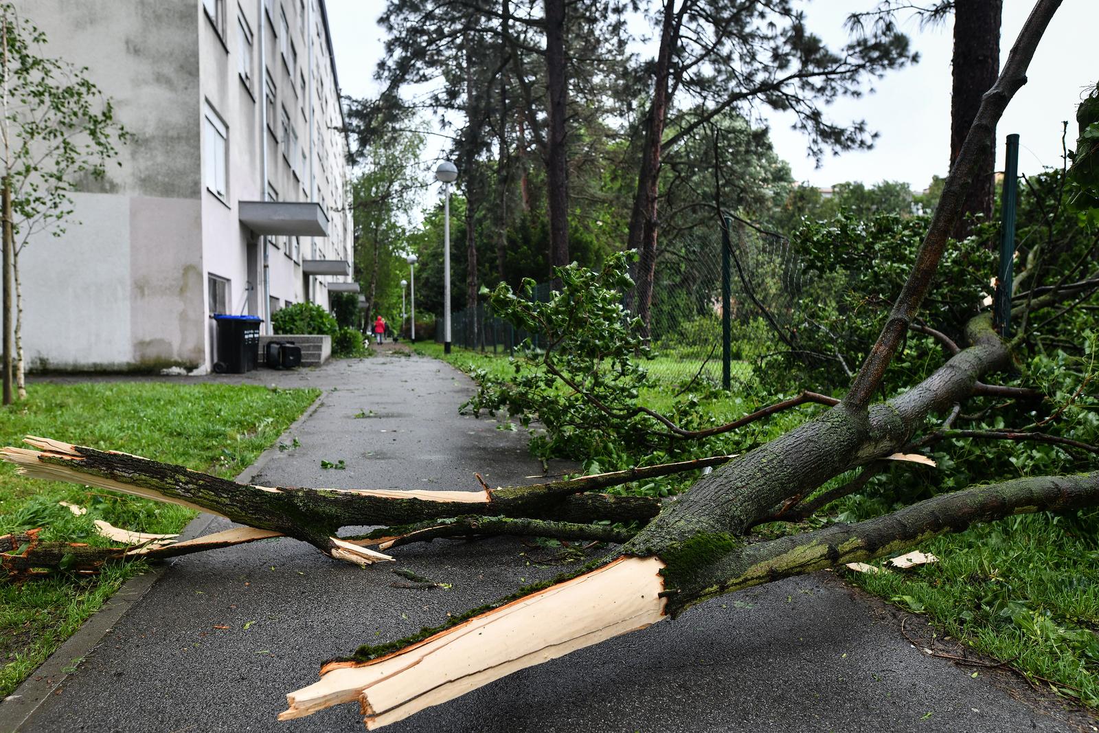 13.05.2019., Zagreb -  Snazan vjetar srusio je stabla u zagrebackom naselju Ravnice.rPhoto: Sandra Simunovic/PIXSELL