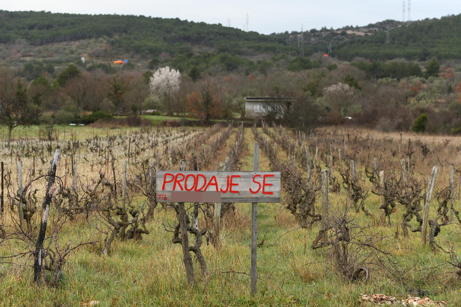 23.02.2022., Sibenik - U Dalmatinskom zaledju sve je vise poljoprivrednih zemljista i vinograda oglaseno za prodaju. Photo: Hrvoje Jelavic/PIXSELL