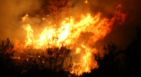 Španjolska evakuirala dvije tisuće ljudi zbog velikog šumskog požara