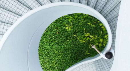 Novi europski Bauhaus – zelena budućnost bit će održivija, ali i kreirana prema našim potrebama