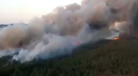 Buknuo požar blizu odmarališta na jugozapadu Turske, evakuirano gotovo 300 ljudi