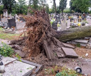 epa10047318 Destruction at the Newfair Cemetery in Bydgoszcz, North Poland, 02 July 2022. Friday night devastating storm has passed over Bydgoszcz.  EPA/Tytus Zmijewski POLAND OUT