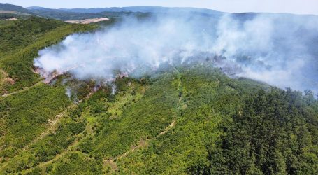 Na području Rajića gori hrastova šuma: “Požar držimo kod kontrolom i radi se na njegovoj lokalizaciji”