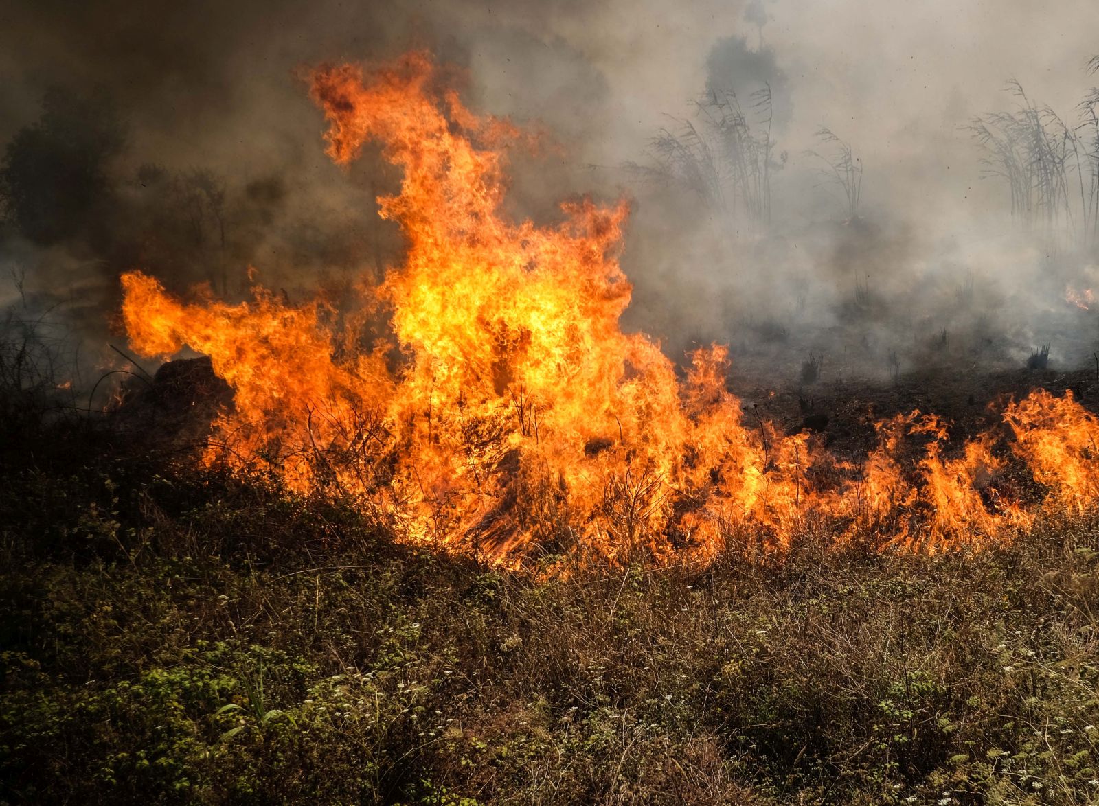 epa10064083 Bushes burn during a forest fire in Canecas, outskirts of Lisbon, Portugal, 10 July 2022. Portugal's President warned that the risk of fires will reach a peak in the next few days and a worsening of the situation is expected from 12 July.  EPA/MARIO CRUZ