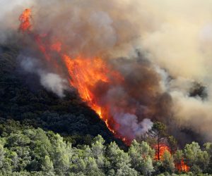 epa10092576 General view of a forest fire near the city of Gignac, France, 26 July 2022. 700 hectares have been burnt and 200 people were evacuated from the village of Aumelas.  EPA/Guillaume Horcajuelo