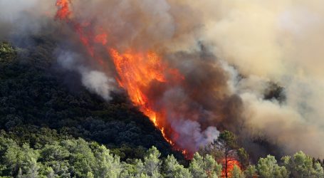 U požaru u Francuskoj izgorjelo 250 hektara šume, ozlijeđeni vatrogasci, stiže im novi toplinski val