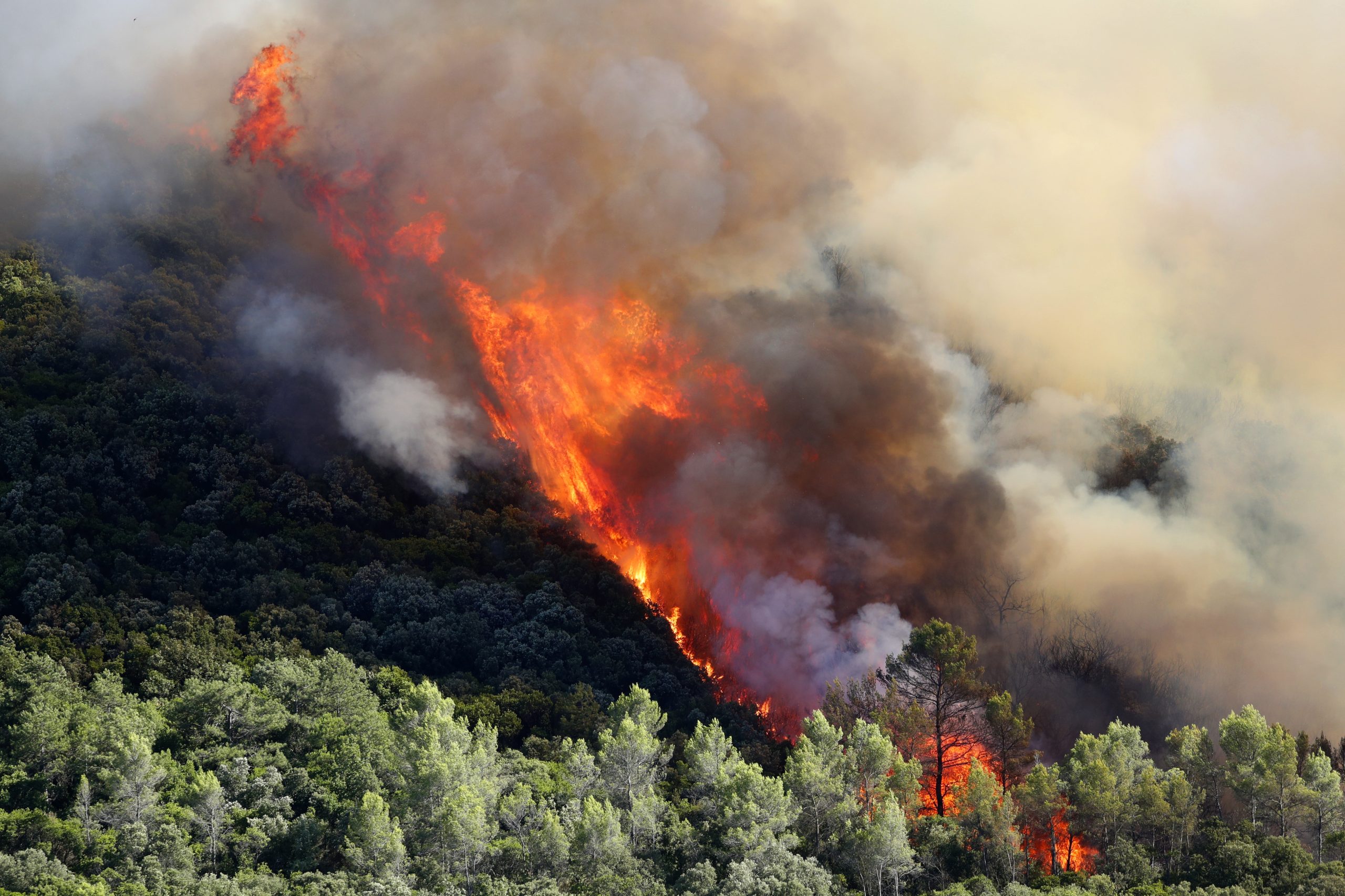 epa10092576 General view of a forest fire near the city of Gignac, France, 26 July 2022. 700 hectares have been burnt and 200 people were evacuated from the village of Aumelas.  EPA/Guillaume Horcajuelo