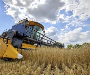 epa10098944 A combine harvester collects wheat in a field near the Kharkiv, Ukraine, 30 July 2022. Ukraine was ready to export Ukrainian grain and waiting for signals from partners about the start of transportation, Zelensky said on his official Telegram account on 29 July. A center to oversee the Ukrainian grain export was opened in Istanbul on 27 July following a deal between Russia and Ukraine to export Ukrainian grain from besieged ports through the Black Sea.  EPA/SERGEY KOZLOV