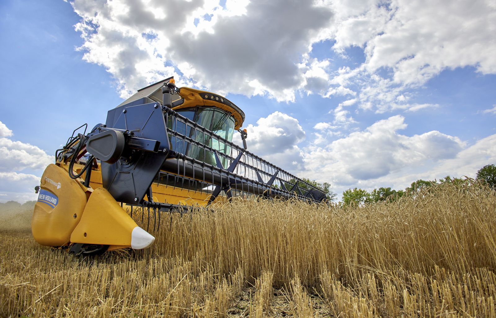 epa10098944 A combine harvester collects wheat in a field near the Kharkiv, Ukraine, 30 July 2022. Ukraine was ready to export Ukrainian grain and waiting for signals from partners about the start of transportation, Zelensky said on his official Telegram account on 29 July. A center to oversee the Ukrainian grain export was opened in Istanbul on 27 July following a deal between Russia and Ukraine to export Ukrainian grain from besieged ports through the Black Sea.  EPA/SERGEY KOZLOV