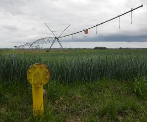 14.05.2020., Slavonski Brod - Sustav za navodnjavanje velikih poljoprivrednih povrsina. Photo: Ivica Galovic/PIXSELL