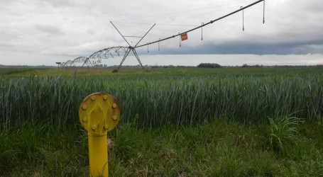 Istraživači NASA-e: Pod kontrolom Rusije petina poljoprivrednog zemljišta Ukrajine