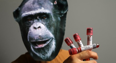 EMA odobrila cjepivo protiv majmunskih boginja