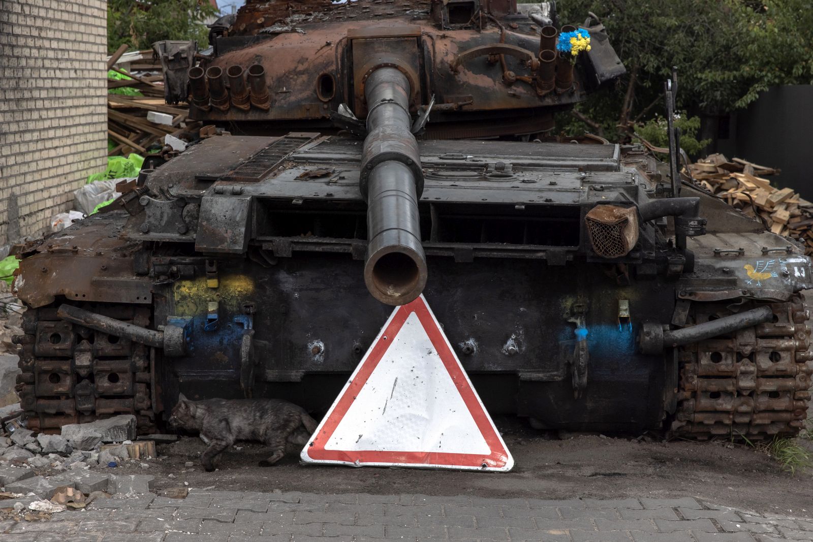 epa10080456 A cat runs past a Ukrainian tank that was destroyed during Russian attacks, in Hostomel, Ukraine, 19 July 2022. Hostomel, Irpin as well as other towns and villages in the northern part of the Kyiv region became battlefields and were heavily shelled when Russian troops tried to reach the Ukrainian capital Kyiv in February and March 2022. Russian troops on 24 February entered Ukrainian territory, starting a conflict that has provoked destruction and a humanitarian crisis.  EPA/ROMAN PILIPEY