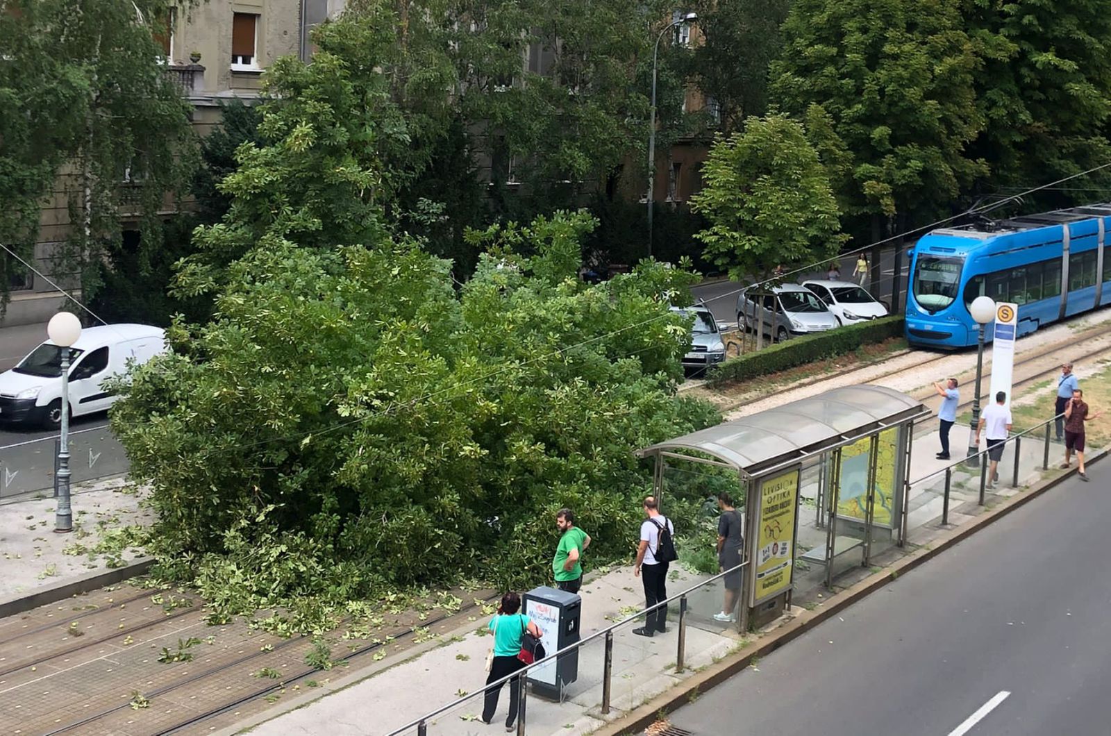 Zagreb, 2.8.2022.- U ulici Medveèak u Zagrebu na tramvajsku prugu se sruilo stablo i ozlijedilo 60-godinjakinju koja je prevezena u bolnicu.  
foto HINA/ Paulo Simiæ/ ua