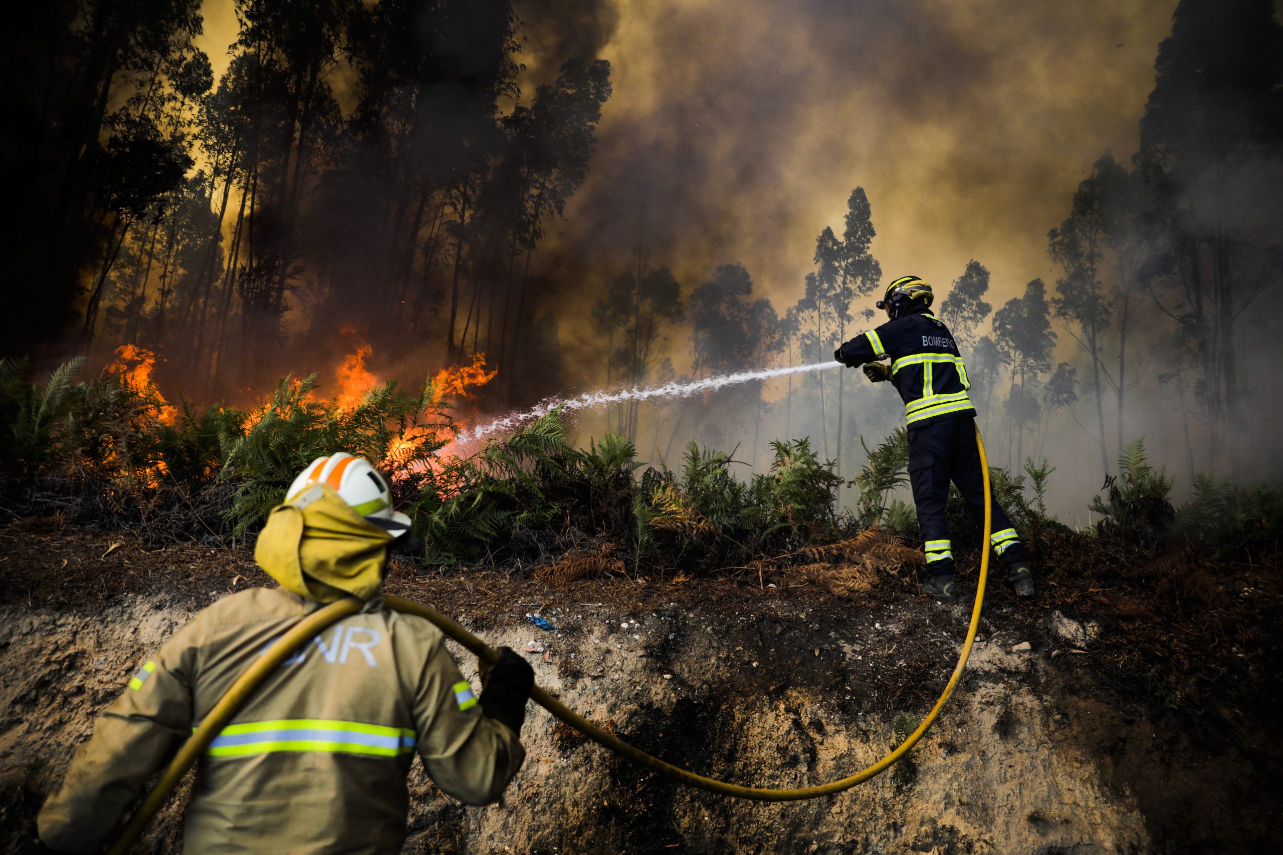epaselect epa10101810 Firefighters battle a forest fire in Aldeia Nova, Ourem, Portugal, 01 August 2022. 241 operational, 72 vehicles and 9 airplanes are fighting the forest fire.  EPA/PAULO CUNHA