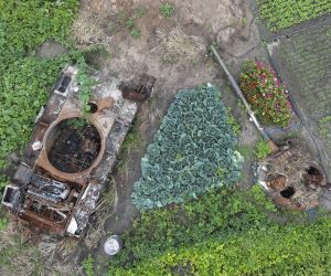 epaselect epa10105676 An aerial photo made from a drone shows vegetables grow around of the debris of a Russian tank at a garden in the village of Velyka Dymerka, Kyiv area, Ukraine, 04 August 2022. The wreckage of the tank remained in the garden after Russian troops were pushed out from the Kyiv region and locals planted flowers and vegetables between its debris. Velyka Dymerka as well as other towns and villages in the northern part of the Kyiv region, became battlefields, heavily shelled, causing death and damage when Russian troops tried to reach the Ukrainian capital of Kyiv in February and March 2022.  EPA/SERGEY DOLZHENKO