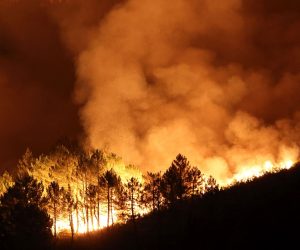 epa10121706 View of a forest fire destroys the surroundings of the village of Campobecerros, Ourense, northwestern Spain, early 15 August 2022. Several forest fires affect the region of Ourense, with more than 3,500 hectares destroyed so far.  EPA/Sxenick