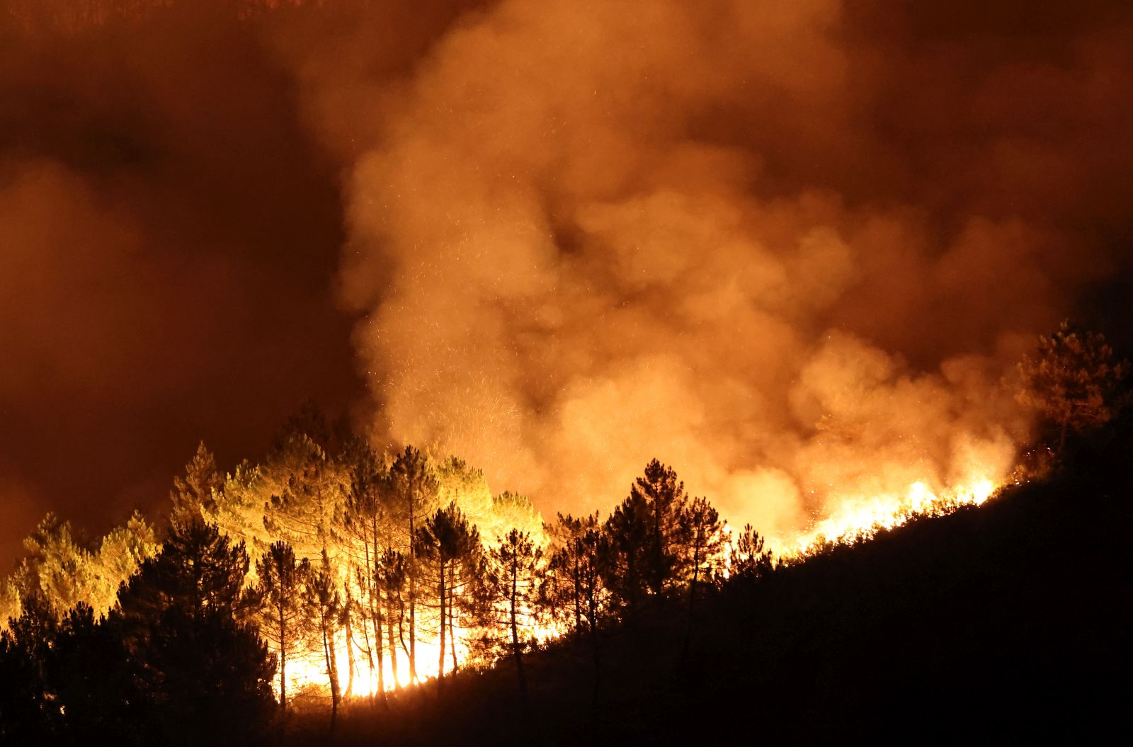epa10121706 View of a forest fire destroys the surroundings of the village of Campobecerros, Ourense, northwestern Spain, early 15 August 2022. Several forest fires affect the region of Ourense, with more than 3,500 hectares destroyed so far.  EPA/Sxenick