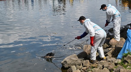 Poljski vatrogasci iz Odre izvukli tone uginule ribe