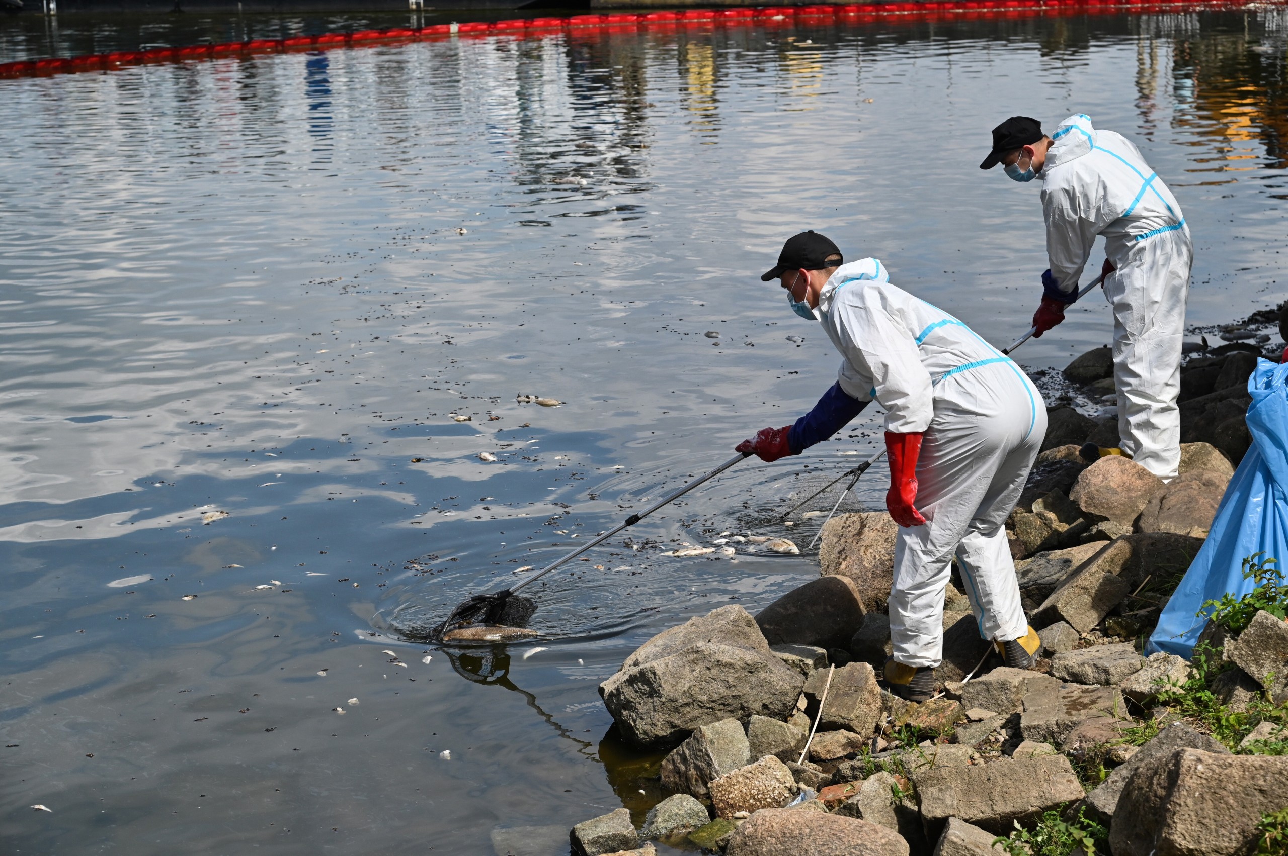 epa10122224 People in protective gear clean the Oder River after thousands of dead fish washed up on the river banks, in Krajnik Dolny village, Poland, 15 August 2022. The Oder river is suffering from an environmental disaster after over 10 tons of dead fish were spotted floating in its waters since July, although no toxic substances were detected, Poland's climate and environment minister said. The exact cause of the mass fish die-off, which was labeled as an 'ecological disaster,' remains unclear.  EPA/Marcin Bielecki POLAND OUT