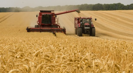 Borba s rastom cijena: Kako se Europa suočava s globalnom krizom hrane