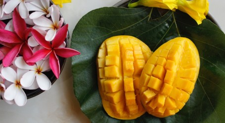 U Egiptu imaju zabavni festival na kojem slave tropsko voće mango
